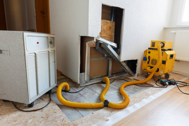 Best HVAC Mold Inspection and Cleaning  in Carpentersvle, IL