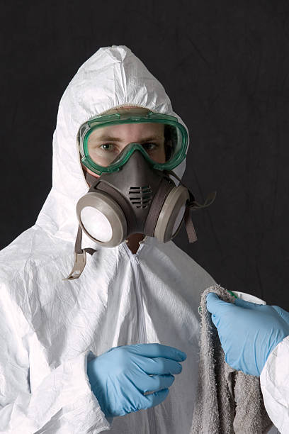 Best Forensic Mold Investigation  in Carpentersvle, IL